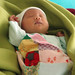 Abigail Young Photo 11