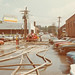 June Rhoades Photo 6