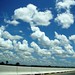 Linda Rayner Photo 16