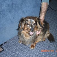 Jeannine Clark Photo 38