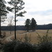 Andrew Ford Photo 25