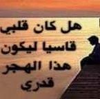 Rami Haddad Photo 22