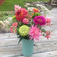 Sharon Schafer Photo 18