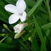 Michele Wildman Photo 6