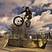 Scott Lewis Photo 33