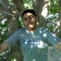 Ahmed Elkady Photo 18