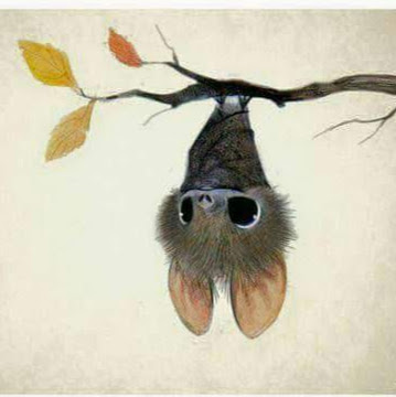 Thanh Pham Photo 32