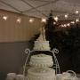 Lisa Collier Photo 45