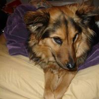 Emery Yoder Photo 2