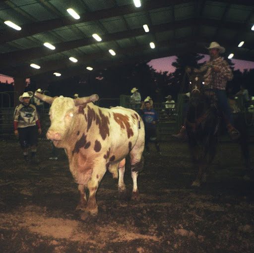 Nick Walker Photo 29