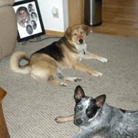 Amy Griffith Photo 26