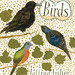 Jeffrey Bird Photo 5