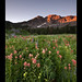Garrett Stokes Photo 9