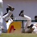 Steve Gillespie Photo 46
