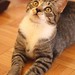 Tabby Thompson Photo 12