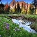 Jack Meadows Photo 21