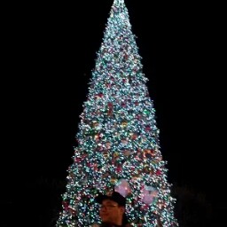 Jason Chung Photo 45