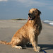 Sandy Fisher Photo 10
