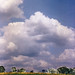 Todd Miles Photo 40