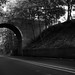 John Parke Photo 40