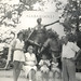 Diane Weaver Photo 19