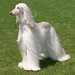 Crystal Fielder Photo 4
