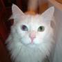 Bonnie Hardin Photo 21