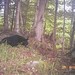 Tirrell North Photo 9