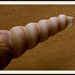 Craig Shell Photo 17