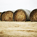 Craig Bales Photo 15