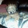 Valerie Sayers Photo 2