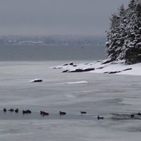 Deborah Theriault Photo 12