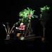 Stephen Irving Photo 16