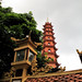 Quoc Tran Photo 6