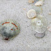 Sandy Simms Photo 18