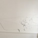 Jonathan Long Photo 19