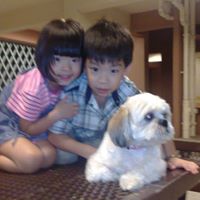 Li Xing Photo 24