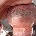 Debbie Gallo Photo 19