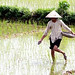 Dan Phan Photo 21