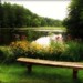 Joy Ponds Photo 7
