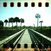Diana Payne Photo 14