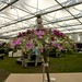 Clare Allen Photo 12
