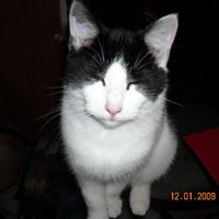 Christian Wyman Photo 6