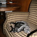 Henry Connor Photo 30