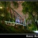 Ronny Bridges Photo 6