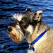 Brad Langley Photo 31