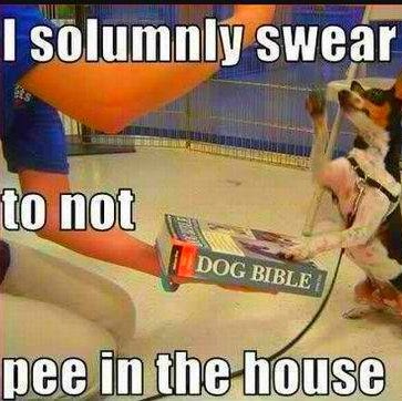 Yessi Martinez Photo 8