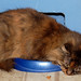 Tabitha King Photo 26