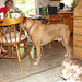 Gary Tyson Photo 31