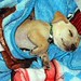 Brenda Ramsey Photo 4